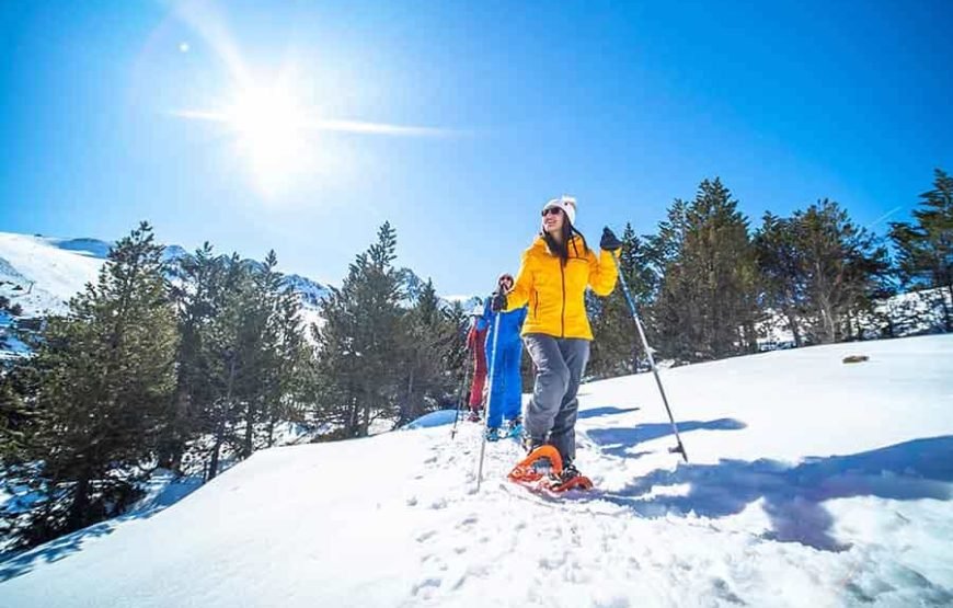 Excursion con raquetas de nieve